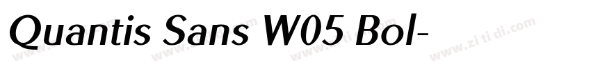 Quantis Sans W05 Bol字体转换